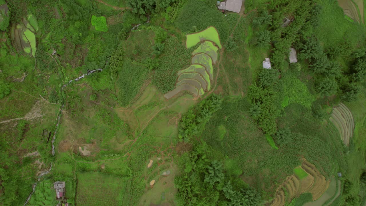vista aérea de los campos de arroz en terrazas de sapa que muestran paisajes verdes exuberantes y patrones agrícolas intrincados