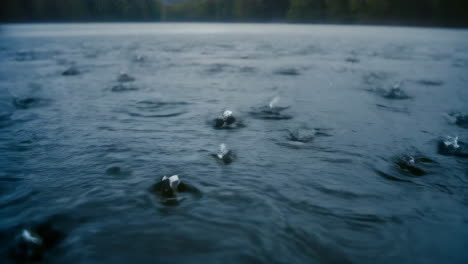 raindrops falling on a water surface