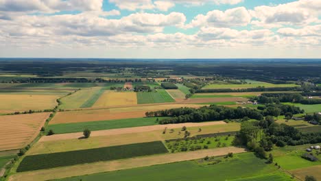 aerial view with the landscape geometry texture of a lot of agriculture fields with different plants like rapeseed in blooming season and green wheat