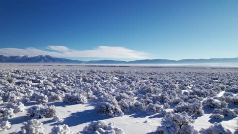 paso elevado de drones bajos en el desierto de nuevo méxico durante el invierno