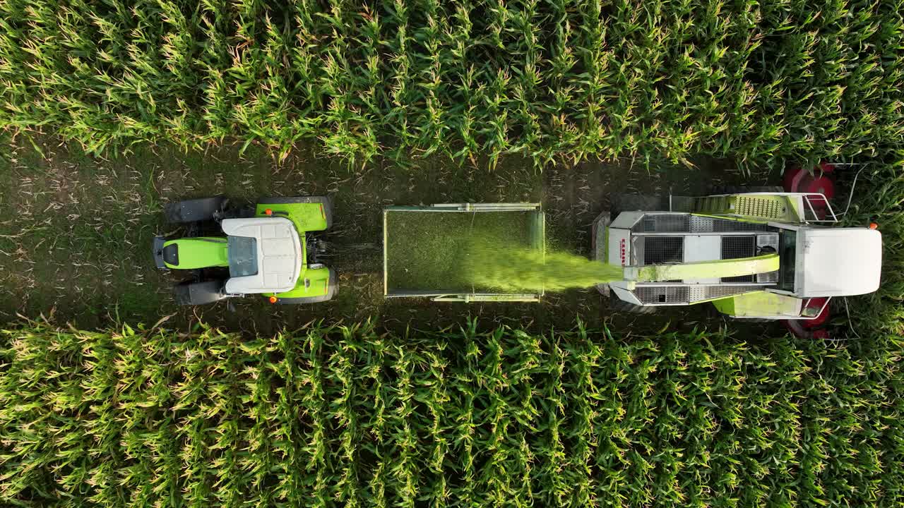 la cosechadora descarga el ensilado de maíz en el remolque del tractor que se invierte, antena superior