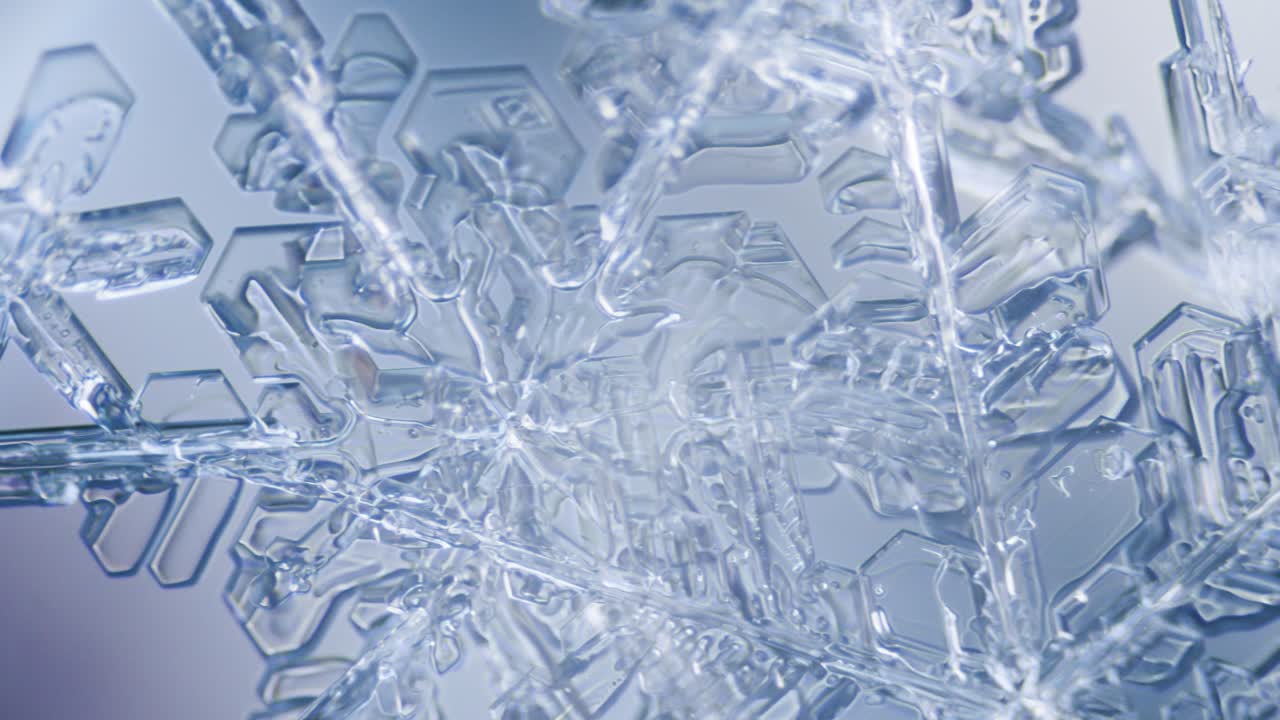 dendrita estelar de cristal de hielo de copo de nieve bajo el microscopio