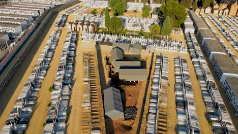 volando sobre la fosa común de pico reja en el cementerio de san fernando de sevilla