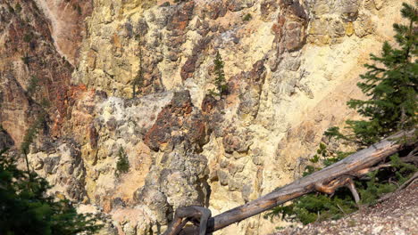 coloridas rocas escarpadas en la pared del cañón del gran cañón de yellowstone