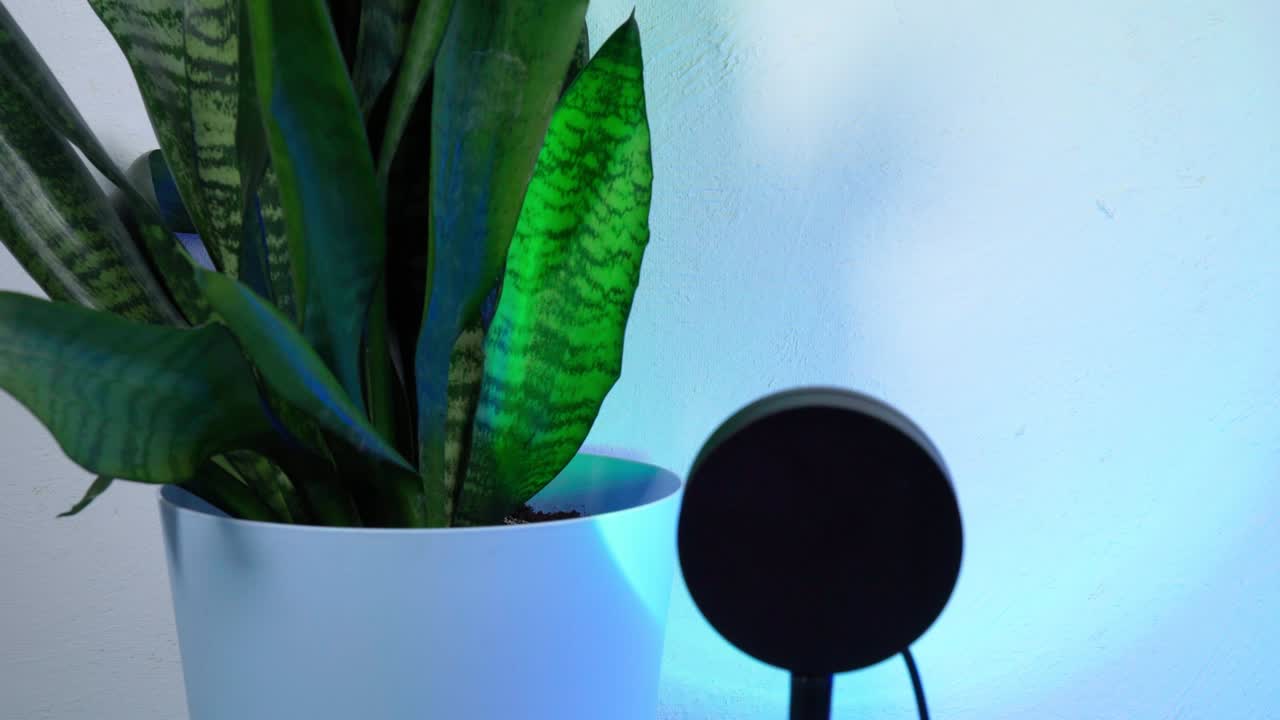 테이블에 선 프로젝터 램프, 다채로운 rgb 조명, 가정 장식, 복사 공간