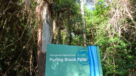 a walk through lush forest to a waterfall