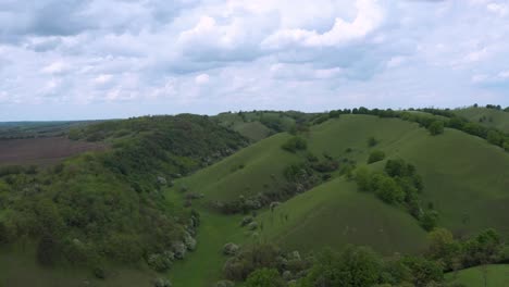 Aerial-shot-trucking-along-above-rolling-hills-of-the-Deliblatska-Peščara-in-Serbia