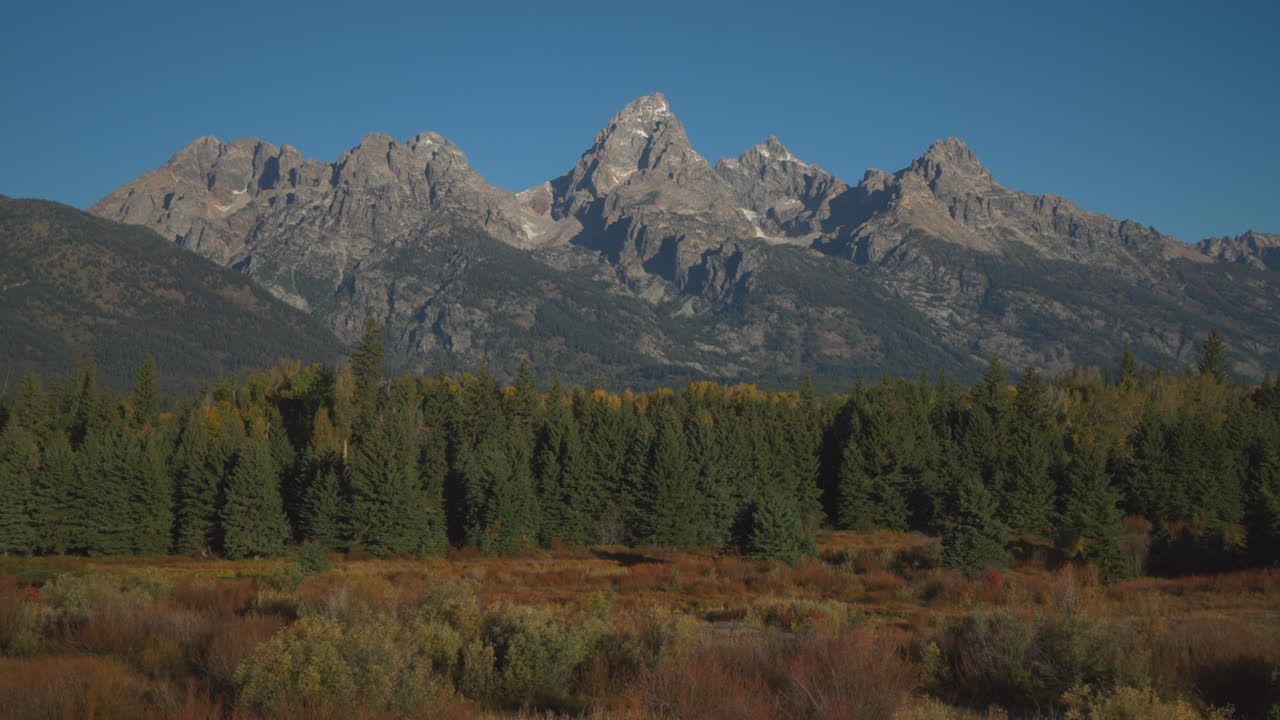 Cinematic still movement Grand Teton National Park entrance Blacktail Ponds Overlook wind in tall grass fall Aspen golden yellow trees Jackson Hole Wyoming mid day beautiful blue sky no snow on peak