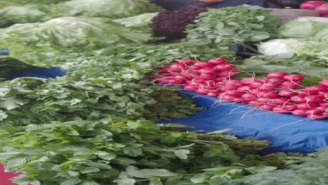 fresh vegetables at a farmers market