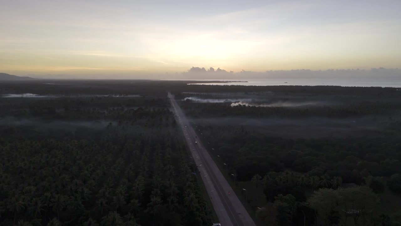 Aerial drone view of Highway crossing expansive coconut fields in Brooke's Point during early morning