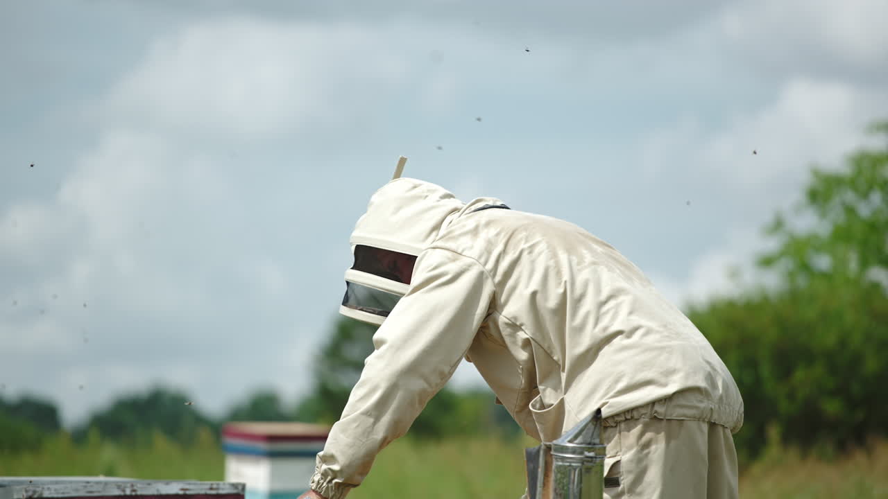 Male apiarist bent over the hives in his bee farm. Beekeeper uses metal tool in his check-up. Blurred backdrop.