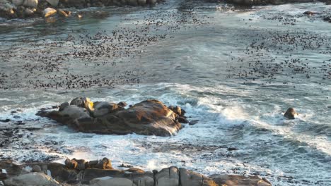 drone flight over camps bay beach in cape town south africa - waves break against rocks in the bay and the water surface is illuminated by the sun