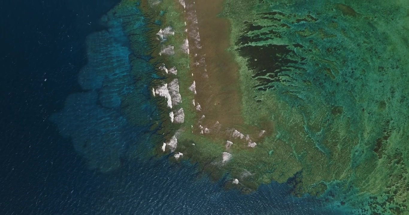 Birds eye view shot of coral reef in Okinawa, Japan