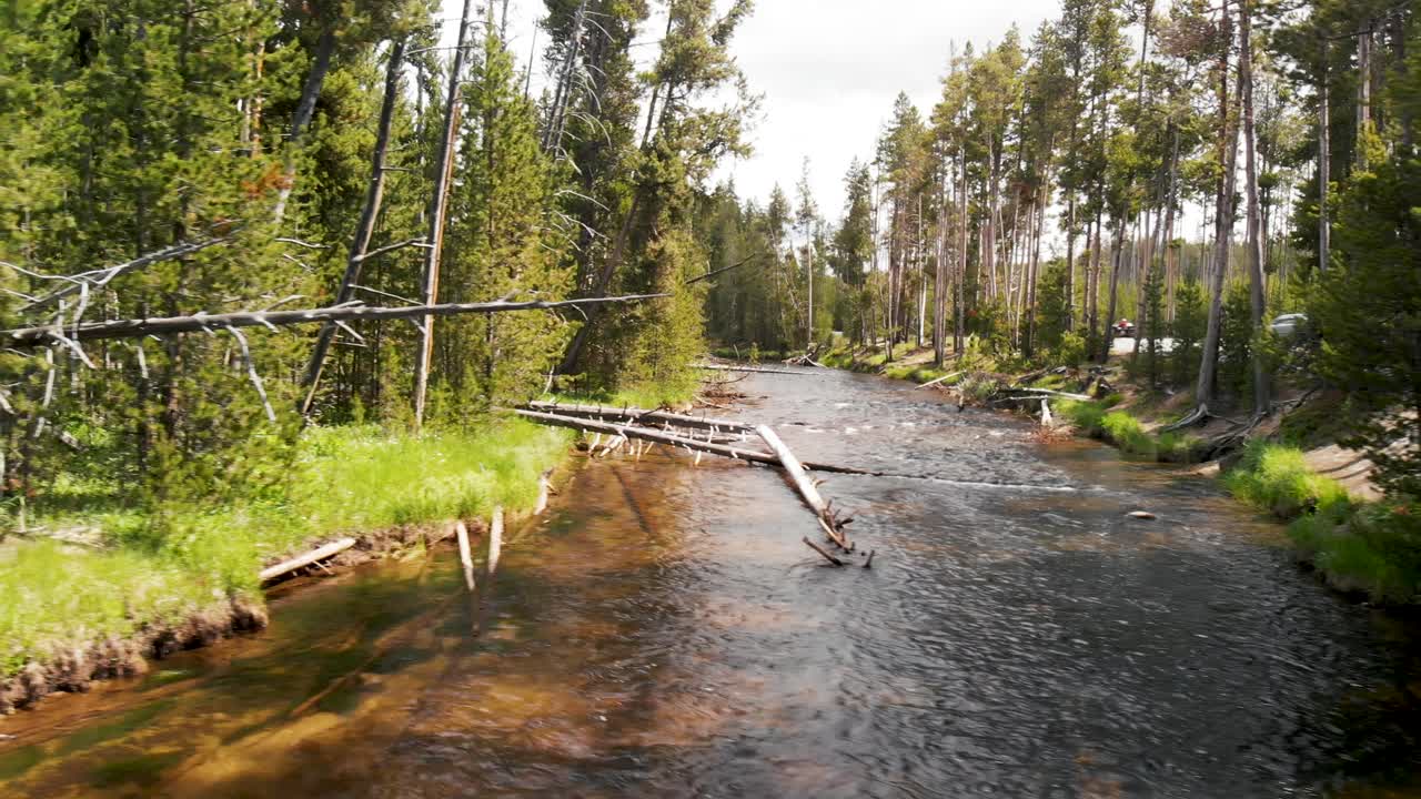 Hidastettu ilmakuva suuresta joesta, jonka rannat ovat mäntypuiden reunustamia, lähellä Yellowstonea Wyomingissa.