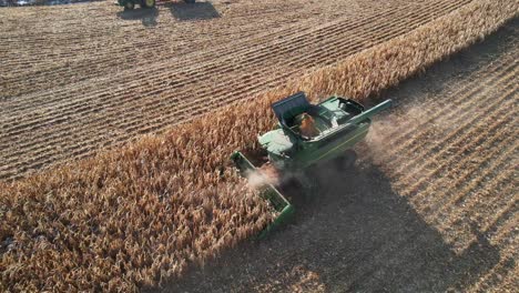 en novembre, une exploitation agricole du ne wisconsin hache et recueille du maïs pour l'ensilage