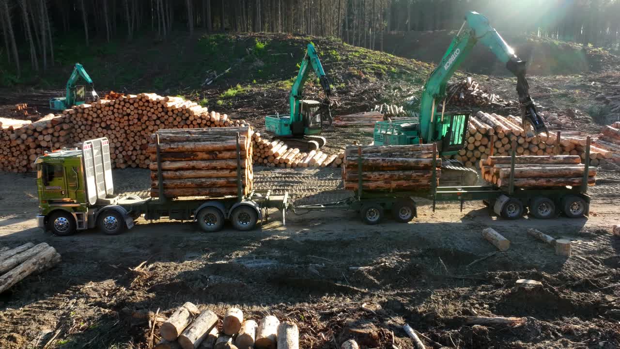Timelapse of loader cranes moving lifting logs onto truck for transport, heavy machinery