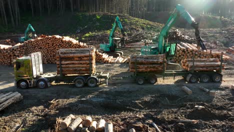 Timelapse-of-loader-cranes-moving-lifting-logs-onto-truck-for-transport,-heavy-machinery