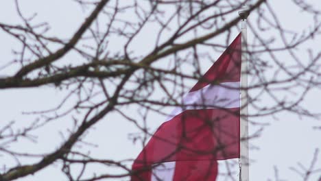 latvian flag on holidays