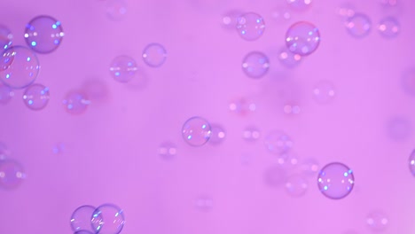 blue and clear soap bubbles on pink background a lot of blue and clear soap bubbles isolated on pink background