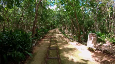 A-dolly-in-shot-going-along-a-small-rail-road-inside-of-a-tropical-rain-forest-in-Riviera-Maya,-Mexico-inside-of-an-ecological-resort-full-of-Cenotes-and-wildlife-on-a-sunny-summer-day-on-vacation