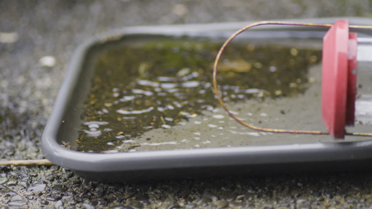 Raindrops Falling On Puddle Of Water In Tray On Ground Outdoor. closeup shot