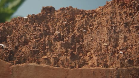 Close-up-of-brown-orange-dry-natural-dirt-soil,-on-a-sunny-day