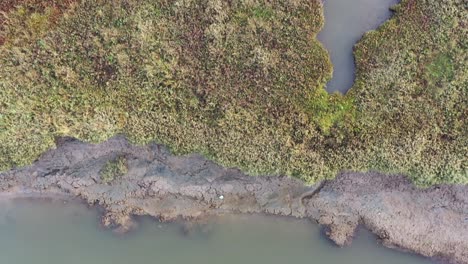imágenes aéreas de arriba hacia abajo moviéndose sobre un estuario