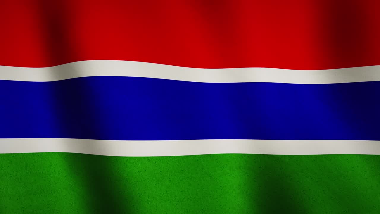 감비아 국기가 흔들리는 추상적인 클로즈업은 국가 민주주의를 보여줍니다.