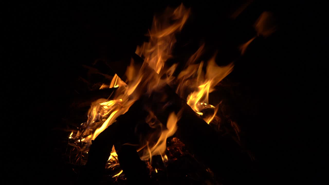 fiamma di falò in erba dal legno nella giungla