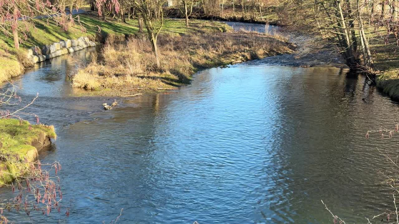 Acqua di fiume che scorre attraverso un paesaggio all'aperto con erba secca e alberi spogli in inverno