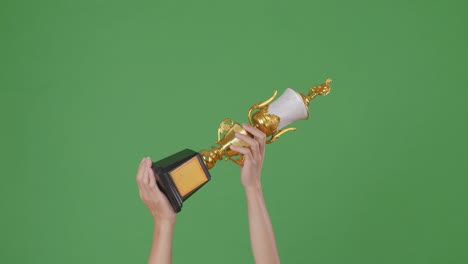 raised hands of a man are holding a trophy. green screen background