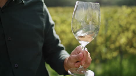 man shaking white wine goblet in vineyard vertically closeup. taster degustation