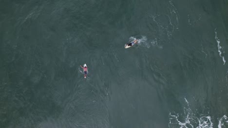vista superior del dron que muestra a la gente surfeando