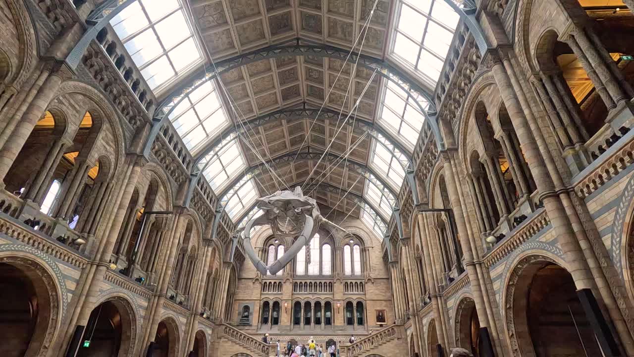 박물관 의 그랜드 홀 에 매달린 고래 골격