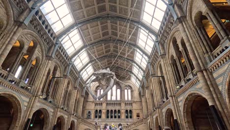 whale skeleton suspended in museum's grand hall