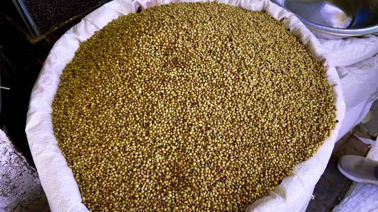 Vista ravvicinata di semi di coriandolo interi esposti in un grande sacco in un mercato tradizionale a Indore, Madhya Pradesh, India, usati come spezia comune nella cucina indiana