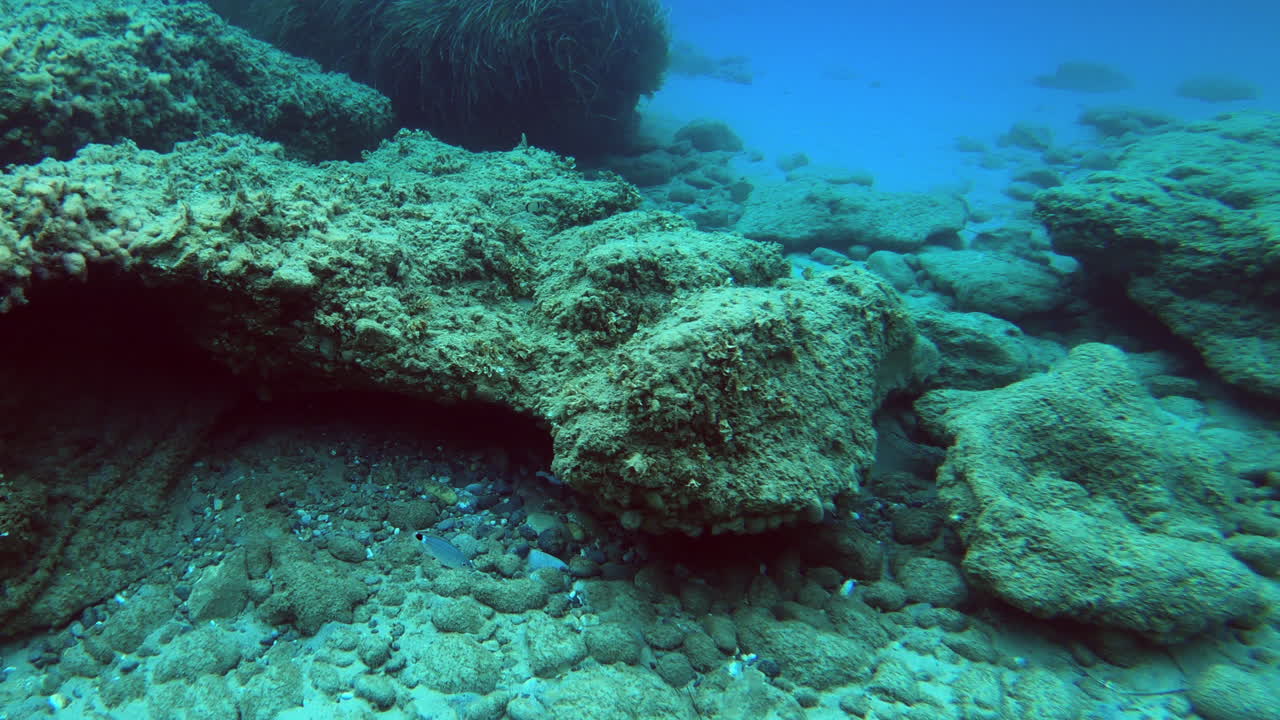 панорама больших камней, растений и рыб под водой вблизи берега эгейского моря на полуострове кассандра в греции