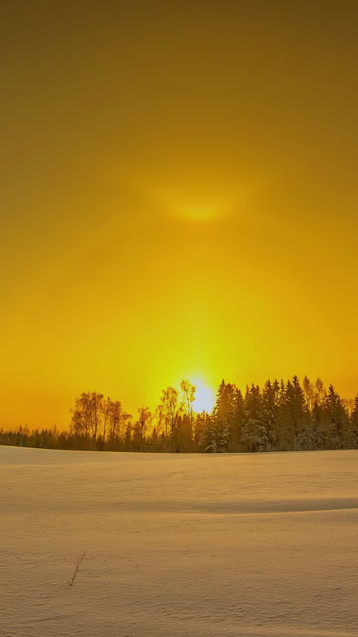 Golden sunset timelapse over winter landscape with trees in snow