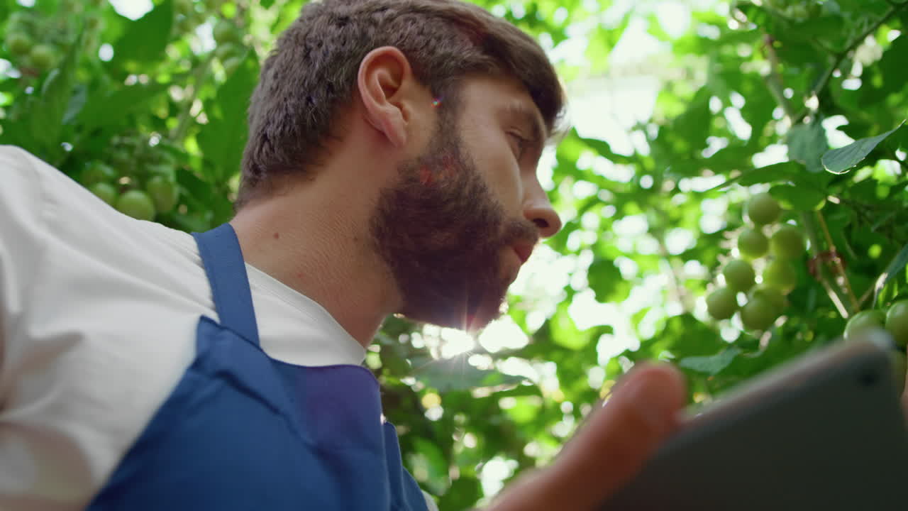 especialista agrícola inspeccionando la planta con una tableta en el retrato del huerto orgánico
