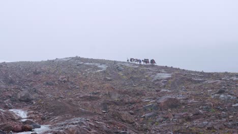 Karawane-Von-Packpferden-Zu-Fuß-Zum-Basislager-Am-Berg