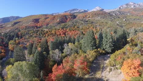 a drone flies near the rocks and slopes of the mountain near dry creek trailhead in alpine, utah as leaves change into bright fall colors