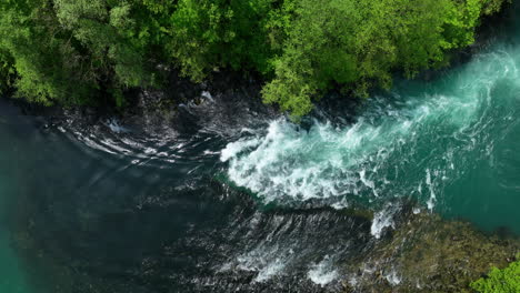 Bird's-eye-view-of-a-green-river-cutting-through-a-thick-forest,-showcasing-the-vibrant-colors-of-early-spring