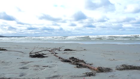 Ocean and beach seaweed and wooden debris on a sandy beach shoreline while ocean sea water waves that are blue move in the background with white water in slow motion during a windy day with clouds.