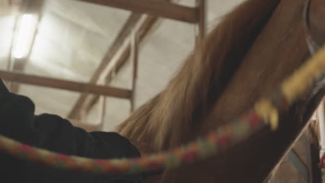 close up of an man brushing a horse at a stable