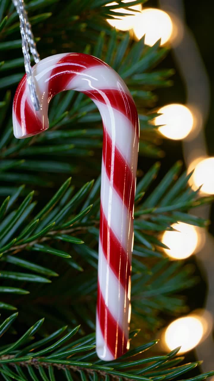 Close-up video shot of a red and white candy cane hanging on a Christmas tree, with soft-focus