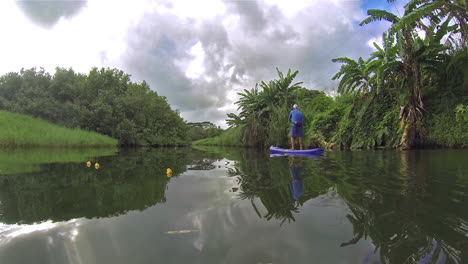 a man rows a paddleboard down a river in kauai hawaii 3