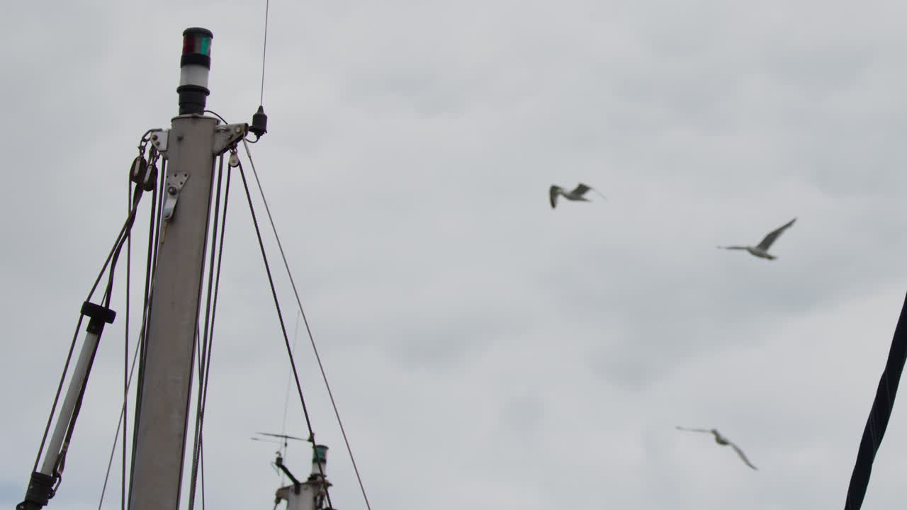 Seagull glides near sailboat mast against overcast sky, steady camera, natural daylight, wide shot