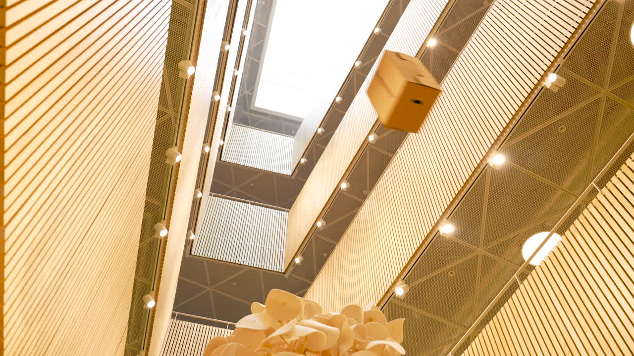 buscando varios pisos del edificio debajo tirando tirar moviendo cajas cartones embalaje de cartón torre rascacielos precioso carga empresa apartamento apresurado prisa estresado cómic extraño