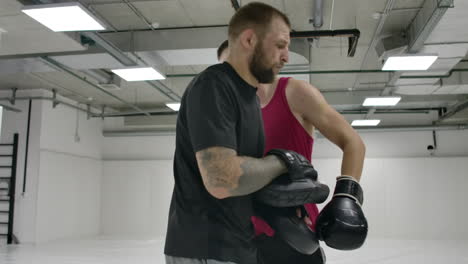 on training on the mixed fights the man beats a knee on paws of the trainer in a jump. slow motion.