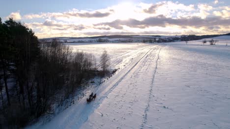 Trineo-Tirado-Por-Caballos-En-Un-Paisaje-Invernal-Con-Nieve-Cayendo-En-Una-Tarde-Tranquila-Y-Soleada---Disparo-De-Seguimiento-De-Drones